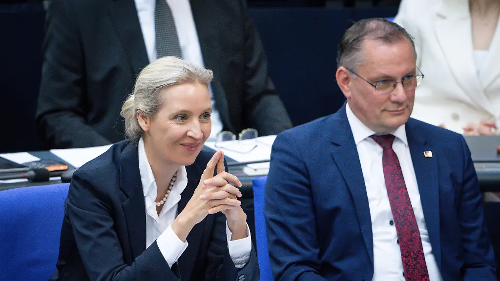 AfD bleibt vor Union, Grüne erholen sich leicht