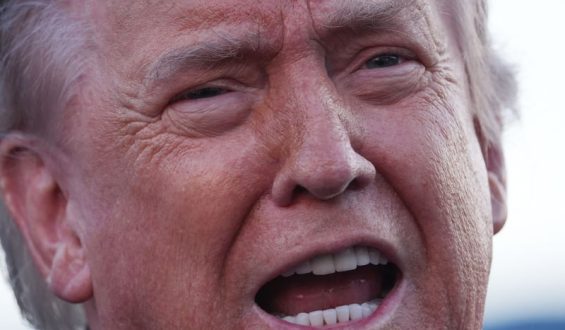 Trump verkündet Waffenruhe zwischen Ukraine und Russland