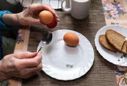 Eierkonsum senkt möglicherweise Alzheimer-Risiko