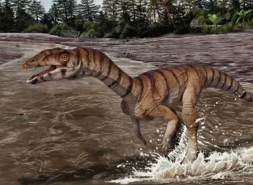Skurriler Zweig der EvolutionZweibeiniges Krokodil ohne Zähne entdeckt