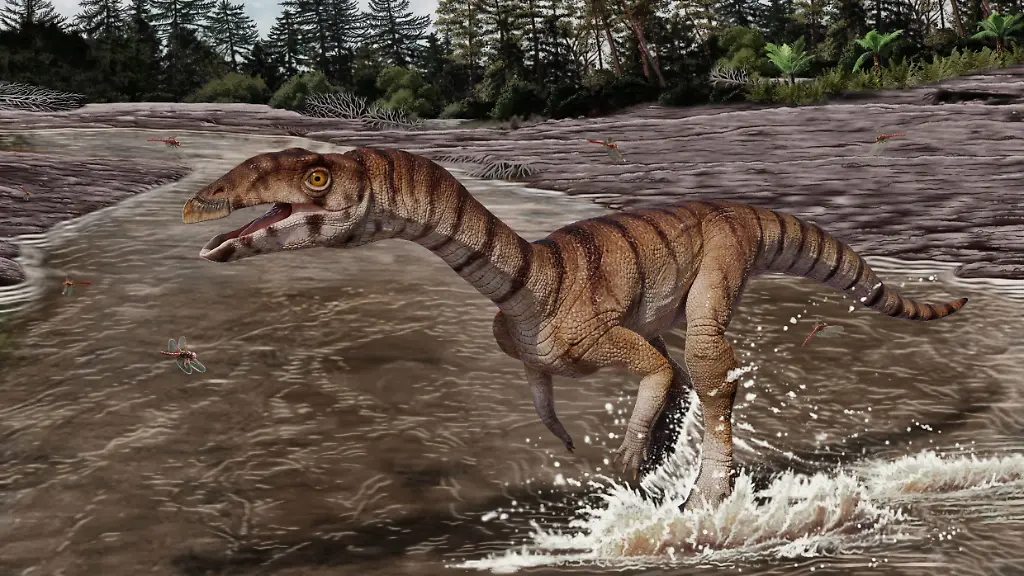 Skurriler Zweig der EvolutionZweibeiniges Krokodil ohne Zähne entdeckt