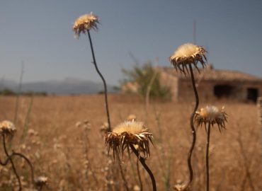 Anpassungen am Klimaszenario: Ein normaler wissenschaftlicher Prozess