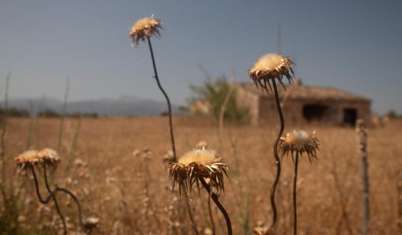 Anpassungen am Klimaszenario: Ein normaler wissenschaftlicher Prozess