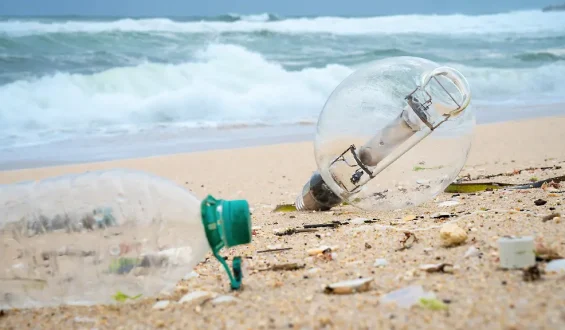Häufigster Müll im Meer: Forscher identifizieren Hauptverursacher
