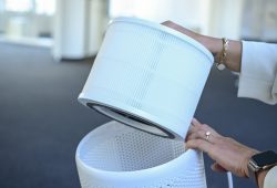 Levoit Core 300S im Test: Starke Filterleistung mit kleinen Schwächen