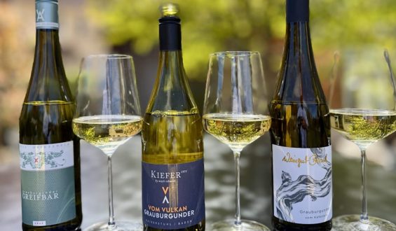 Grauburgunder im Test: Vielfalt der deutschen Weine