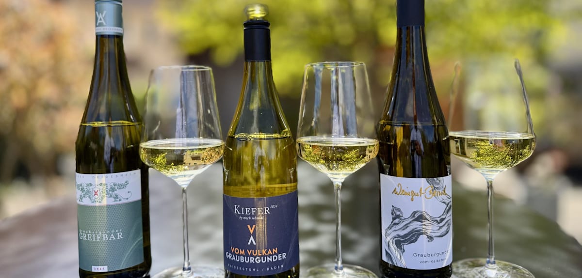 Grauburgunder im Test: Vielfalt der deutschen Weine