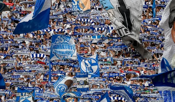 Vorwürfe gegen Schalke-Jugendtrainer wegen Missbrauchs