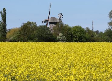 Grillwetter zum Muttertag, dann Frost-Schock