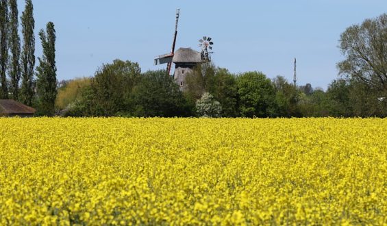 Grillwetter zum Muttertag, dann Frost-Schock