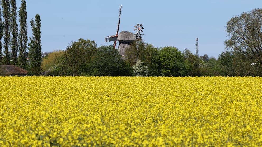 Grillwetter zum Muttertag, dann Frost-Schock