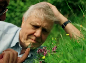 Zum 100. Geburtstag von Sir David Attenborough: Ein Leben für die Natur