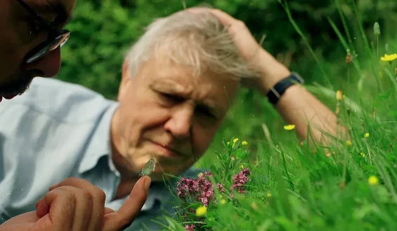 Zum 100. Geburtstag von Sir David Attenborough: Ein Leben für die Natur