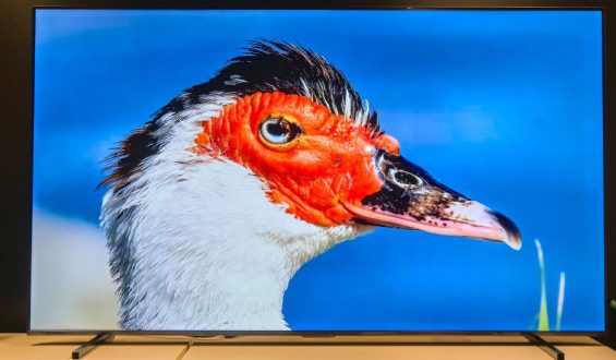 Hisense E7Q Pro im Test: Ein großer Fernseher mit überzeugender Leistung