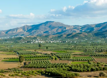 EU-Agrarsubventionsbetrug aufgedeckt: Festnahmen auf Kreta