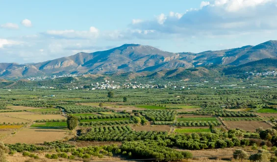 EU-Agrarsubventionsbetrug aufgedeckt: Festnahmen auf Kreta