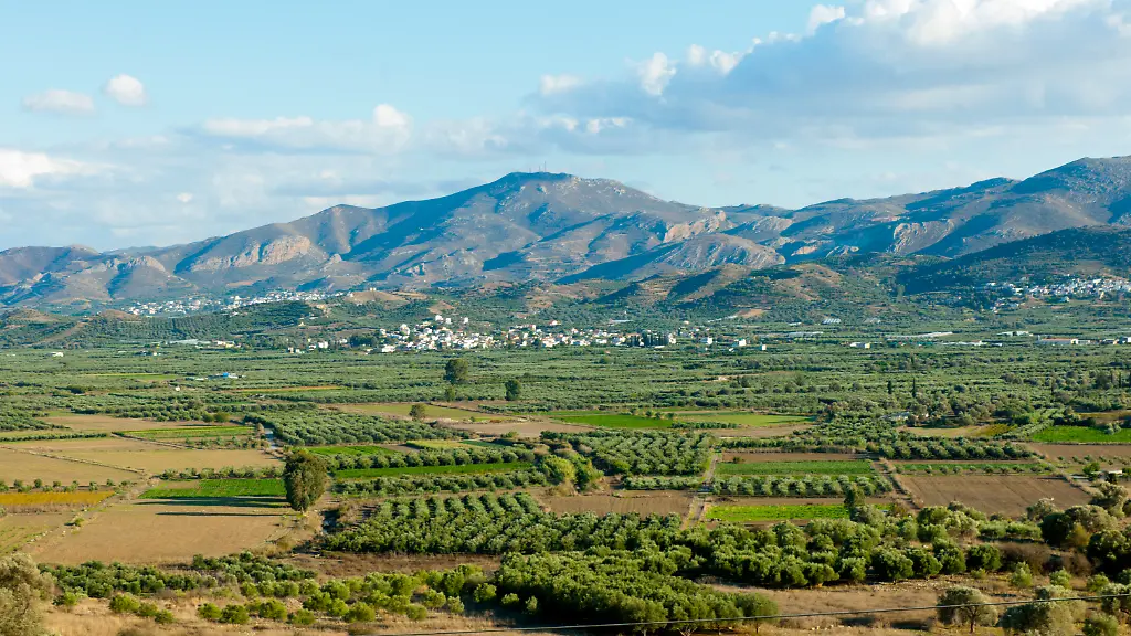 EU-Agrarsubventionsbetrug aufgedeckt: Festnahmen auf Kreta