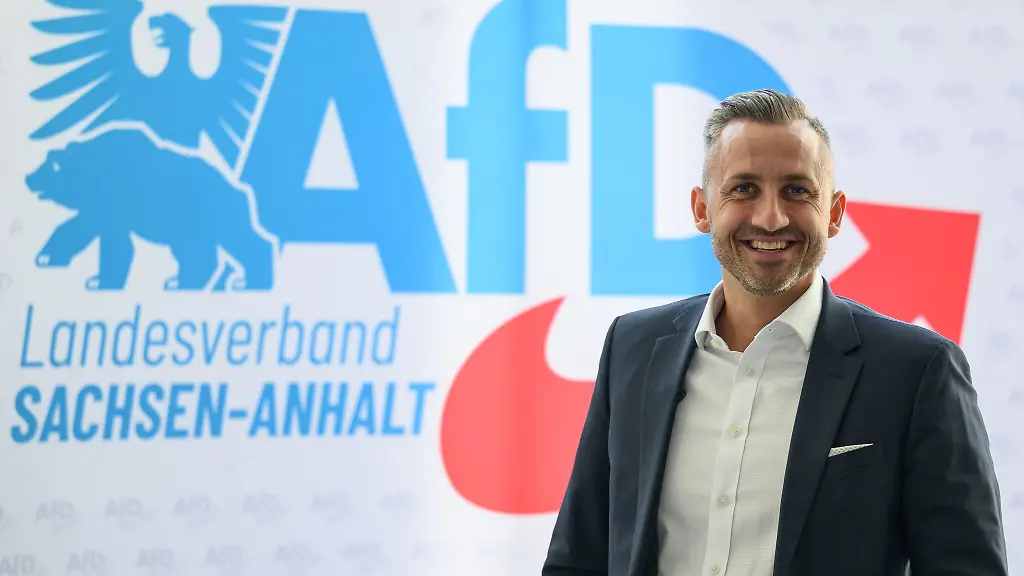 Pläne der AfD bei einem Wahlsieg in Sachsen-Anhalt