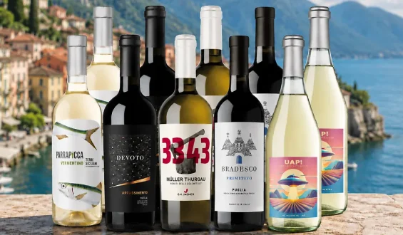 Exklusives Weinangebot bei Svinando: Zehn Flaschen für 39,90 Euro