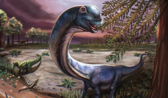 Gigantischer Dinosaurier in Thailand entdeckt