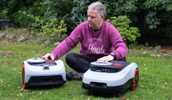 Die besten Produkte für den Frühling im Garten 2026: Testberichte und Empfehlungen