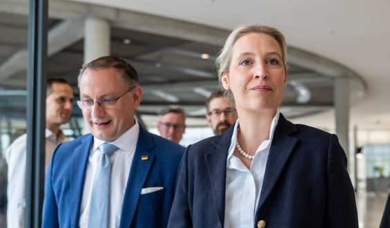 AfD-Umfragewerte und die Demokratie