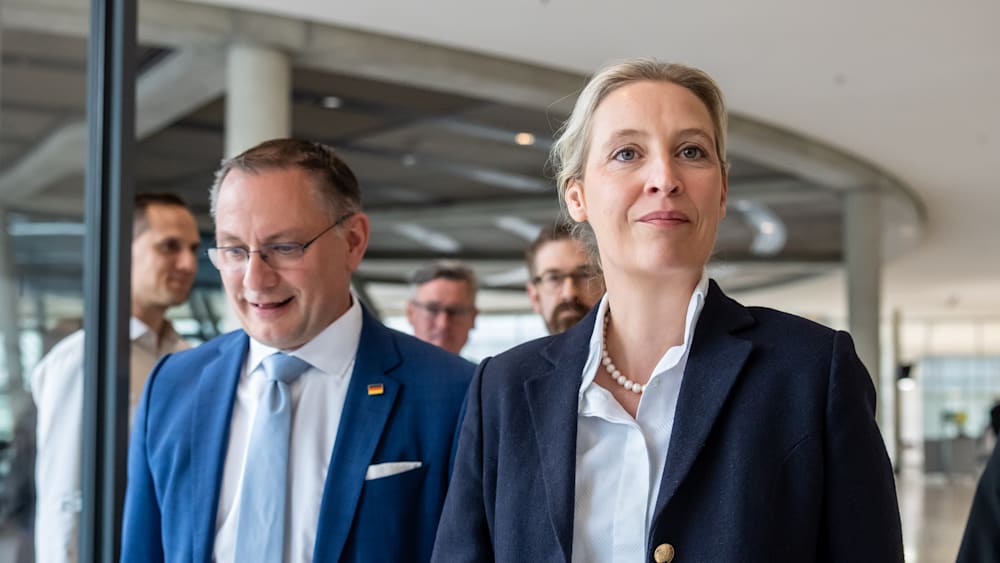 AfD-Umfragewerte und die Demokratie
