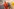 Behandlung eines Ebola-Patienten in der Berliner Charité