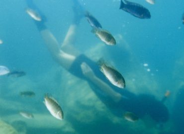 Taucherlebnis im Malawi-See