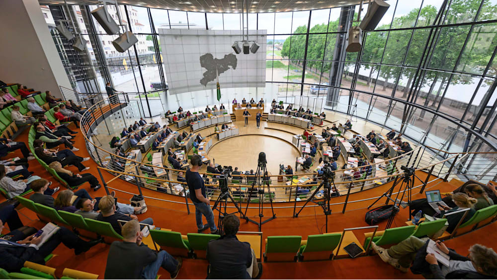 Antrag der Grünen dank Unterstützung von AfD und BSW angenommen
