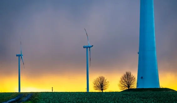 Die Zukunft der Windenergie in Deutschland
