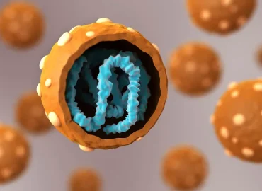 Reaktion auf Hantavirus-Ausbruch in Argentinien 2018
