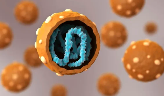 Reaktion auf Hantavirus-Ausbruch in Argentinien 2018