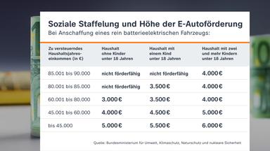 Kaufprämien und Vorteile für E-Autos in Deutschland