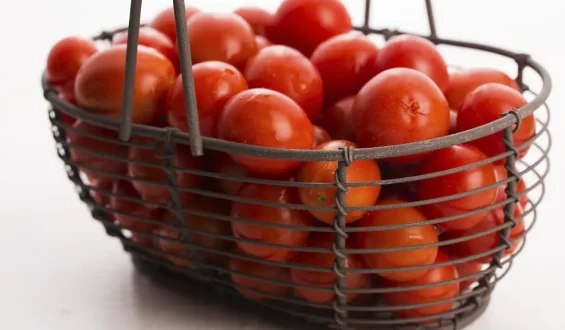 Öko-Test analysiert Cocktailtomaten auf Pestizide