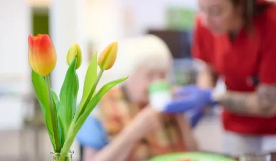 Pflegerat kritisiert Warkens Sparpläne als Belastung für Familien