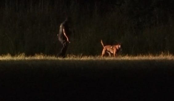 Festnahme des mutmaßlichen Doppelmörders von Bremen