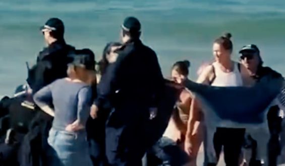 Hai-Attacke in Sydney: Strände geschlossen