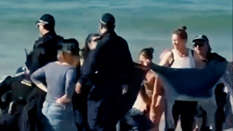 Hai-Attacke in Sydney: Strände geschlossen