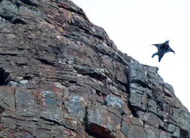 Deutscher stirbt nach Wingsuit-Sprung in den Schweizer Alpen
