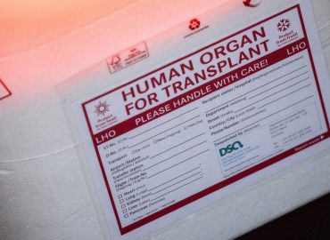 Neue politische Konzepte für Organspenden