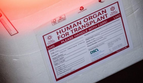 Neue politische Konzepte für Organspenden