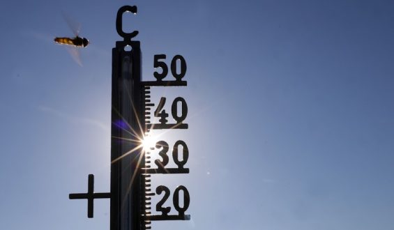 Hitze in Deutschland: Temperaturrekorde und Herausforderungen