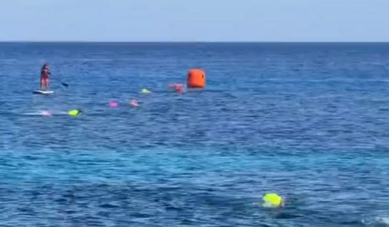 Krokodil nähert sich Schwimmwettbewerb auf mexikanischer Ferieninsel