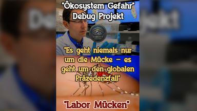 Google’s Mückenprojekt: Ein Faktencheck