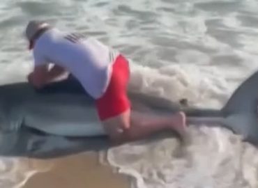Hai-Angriff vor Sydney: Schwimmerin in kritischem Zustand