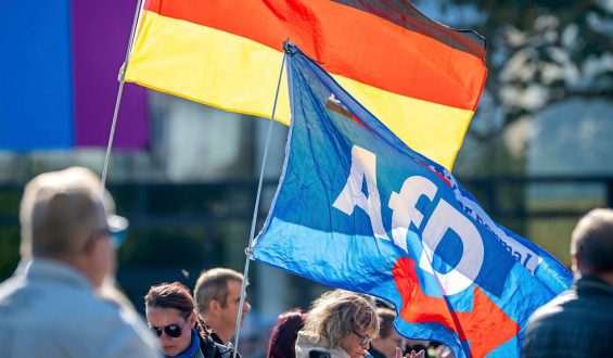 AfD-Politiker in Rostock attackiert: Polizei ermittelt