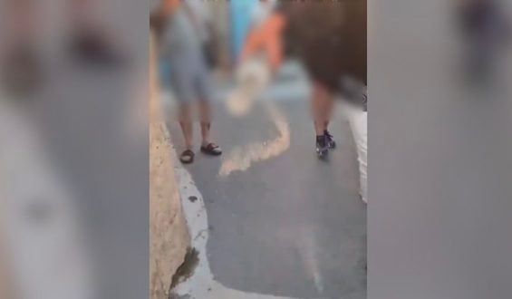 Morbide Aktion auf Santorini: Britische Touristin verstreut Asche