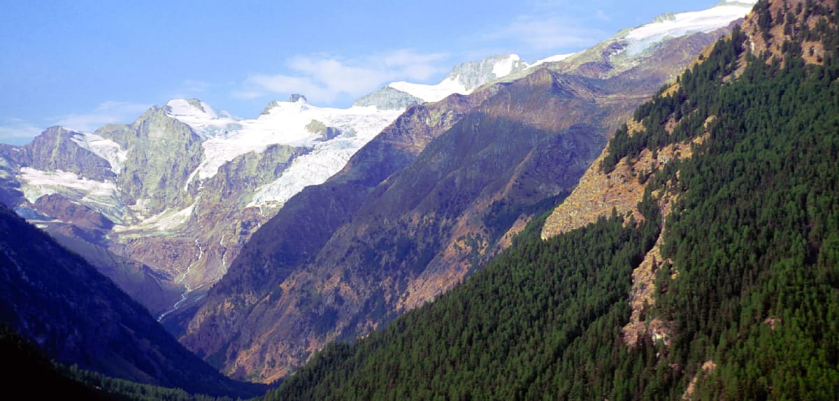 Drei Bergsteiger stürzen am Gran Paradiso in den Tod