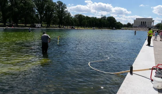 Festnahme und Vorwürfe nach Trumps Sanierung des Lincoln Memorial Reflecting Pool